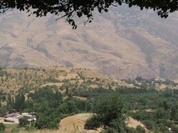     Karatag valley