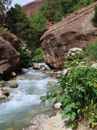   Shibir river