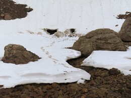  ( ) snow caves (traces are mine)