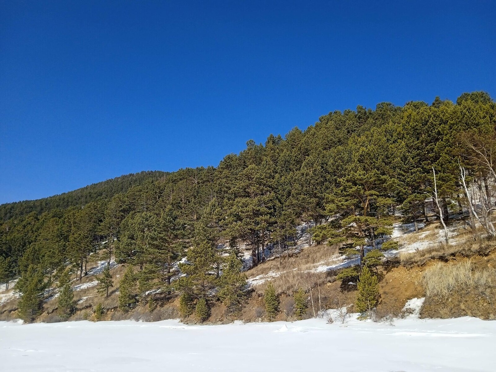 ������� ��� �� �������, ������ ��� ������� ����������� ����� ������.