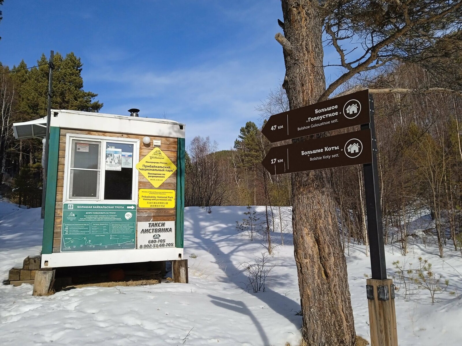 ��� ������ ������� ����������� �����