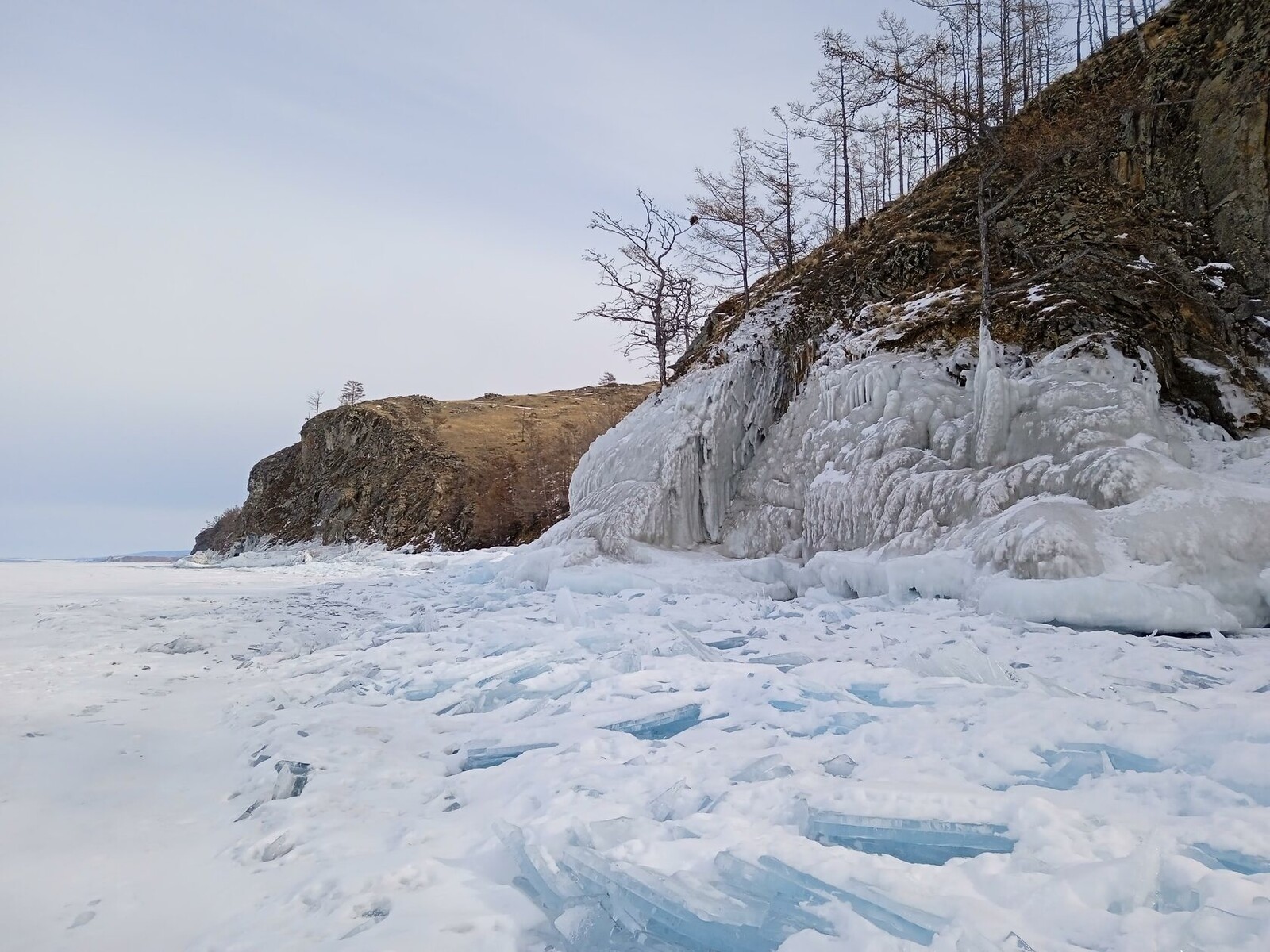 ��� ��������