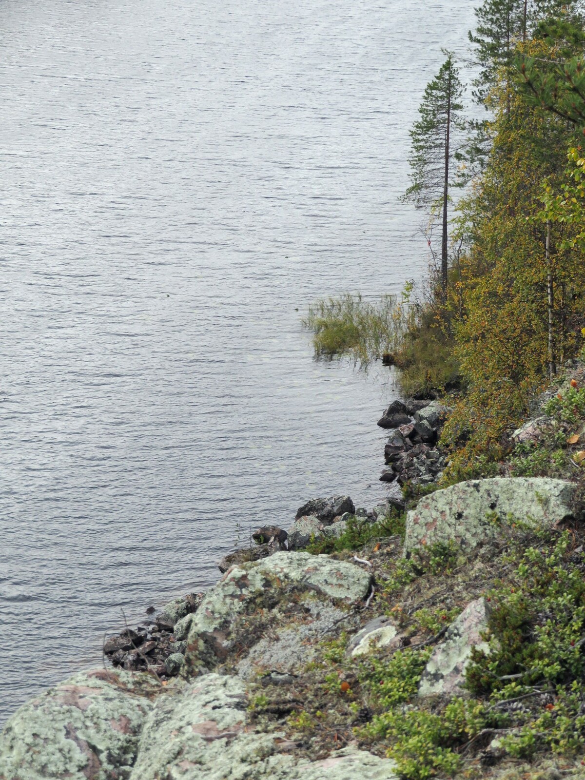  Kalliojärvi