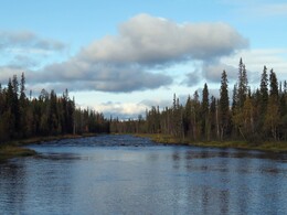река Savinajoki