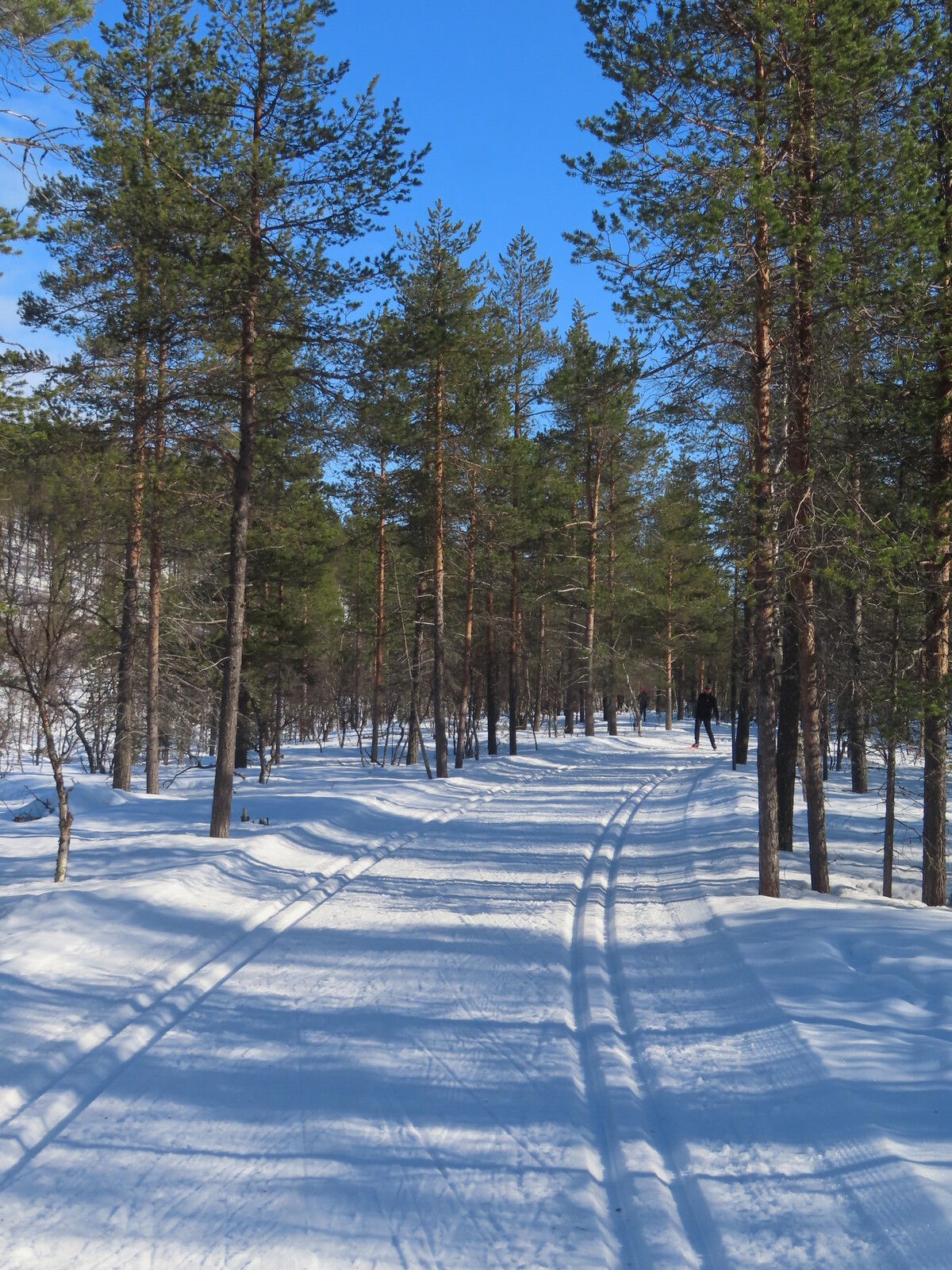 ������ ������