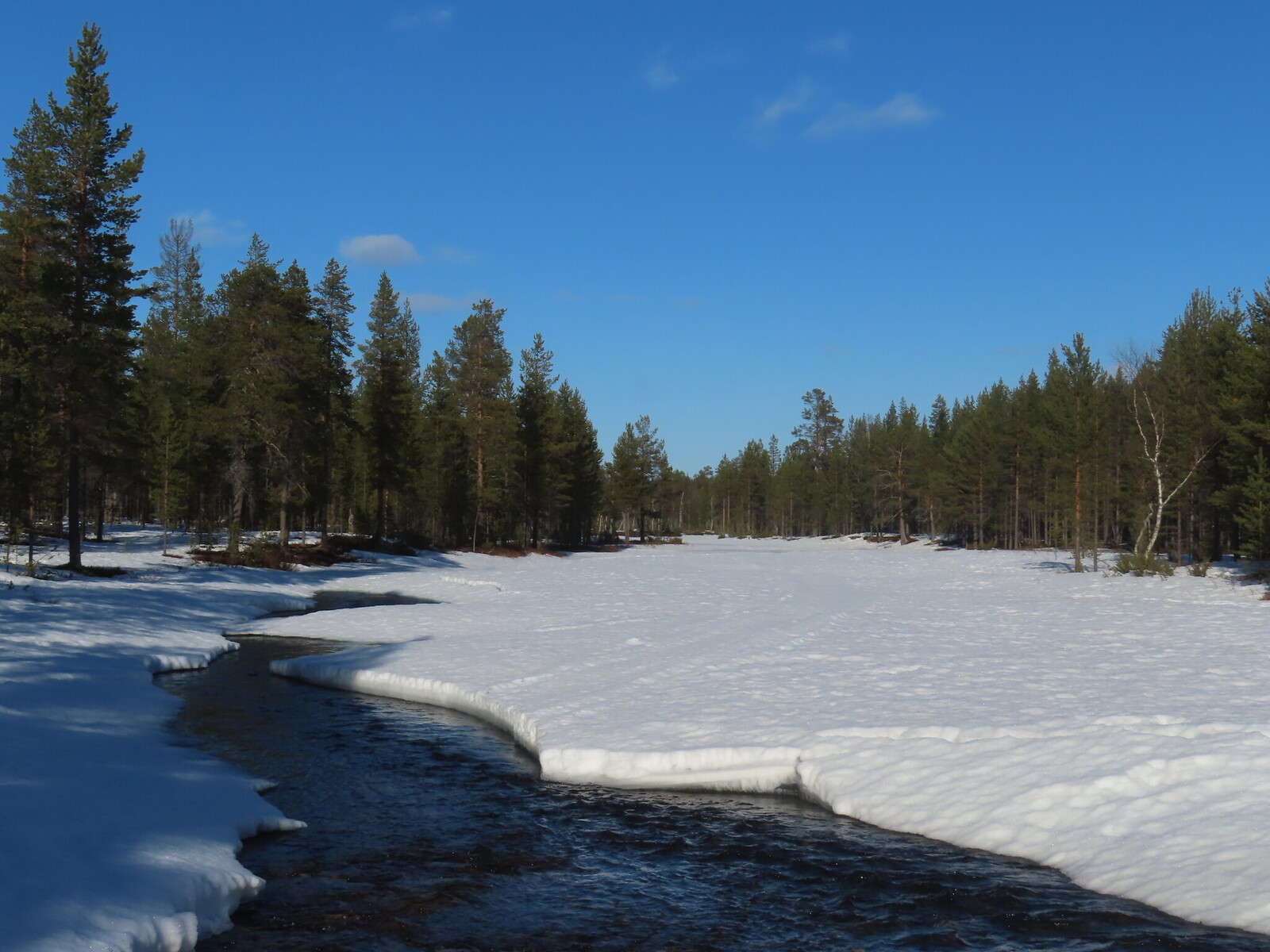 ���� Kulasjoki