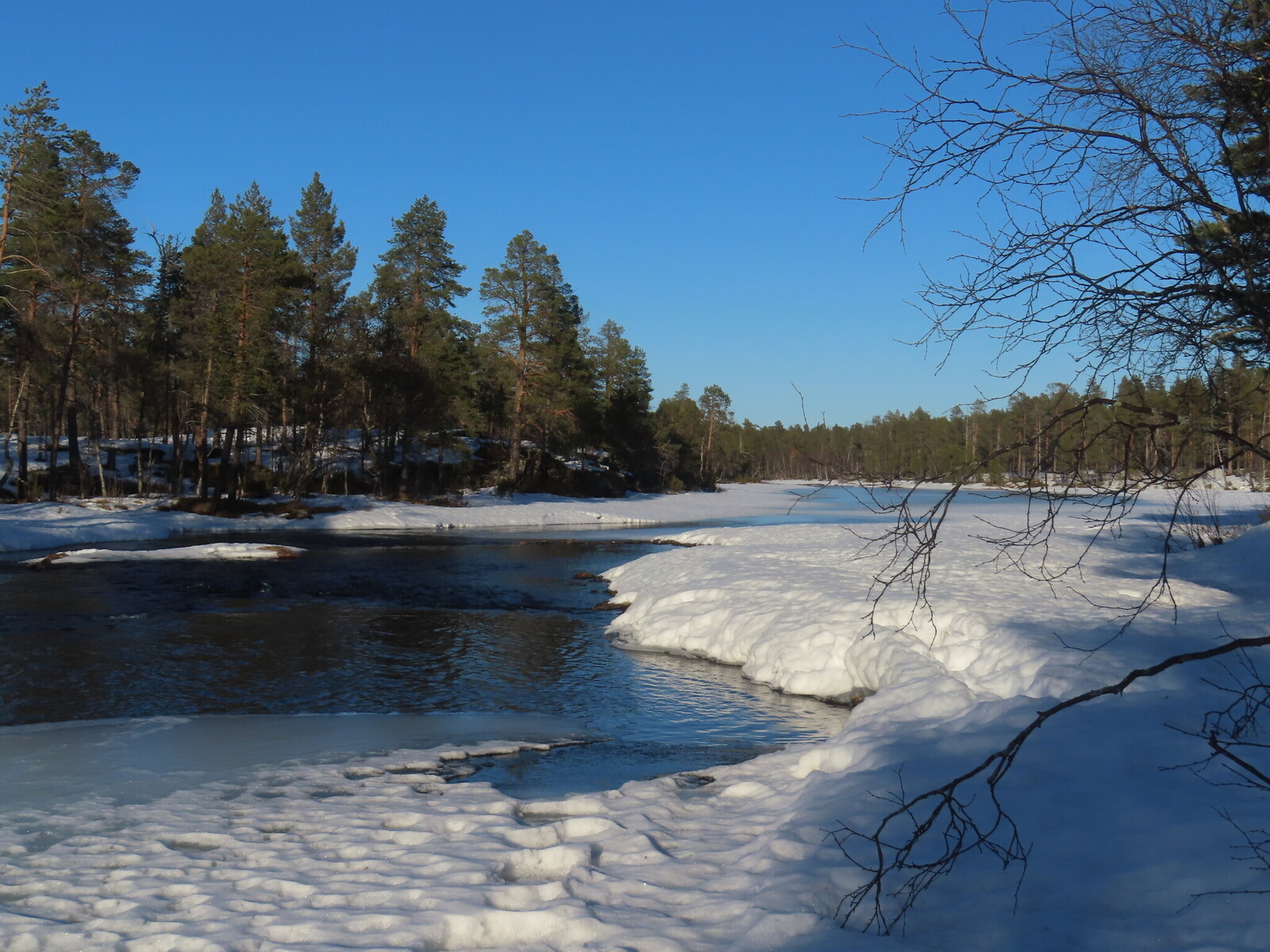 ���� Suomujoki � ����