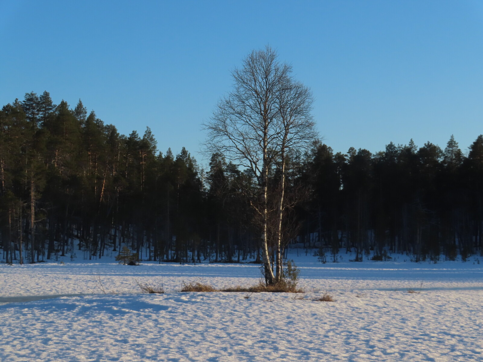 �������� ��������