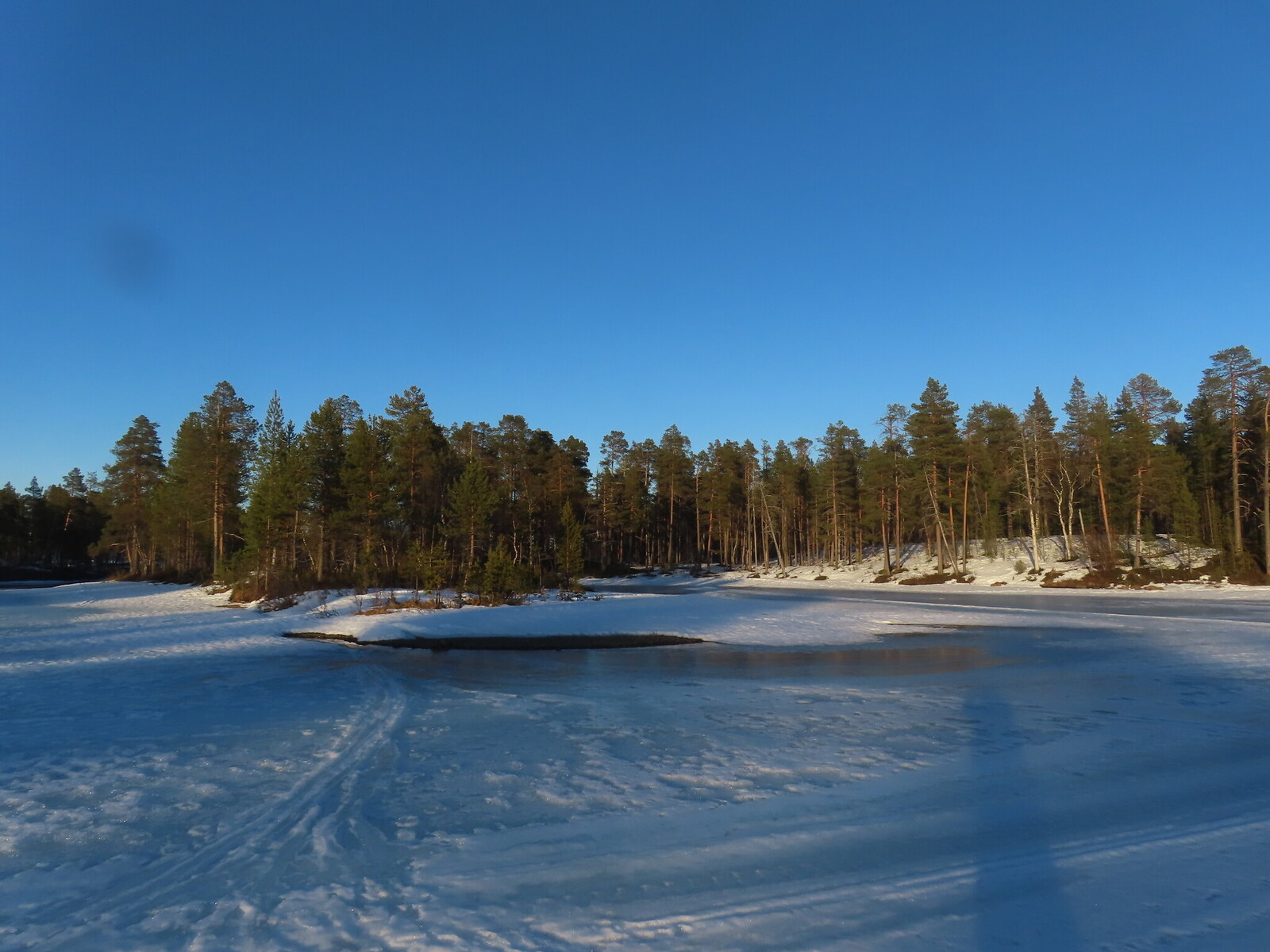 ����� ���� ���� - �� ���� � ��������� ����