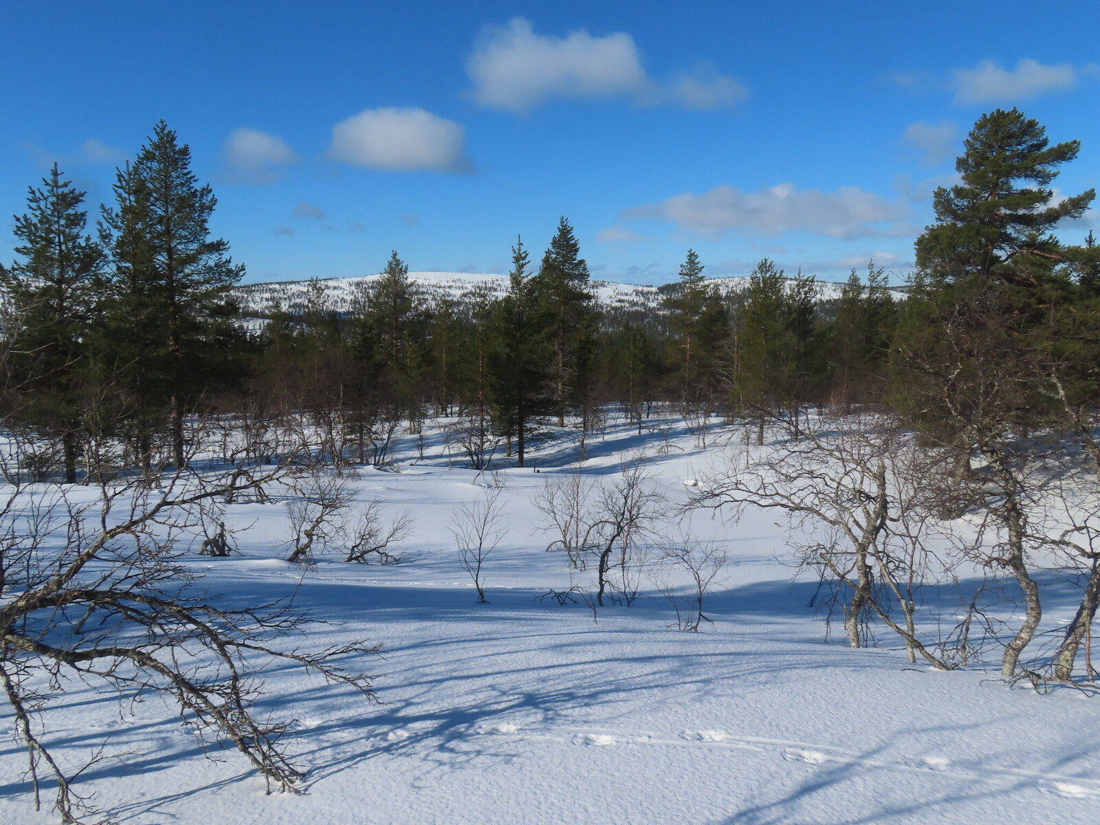 ������ �� ���� ����