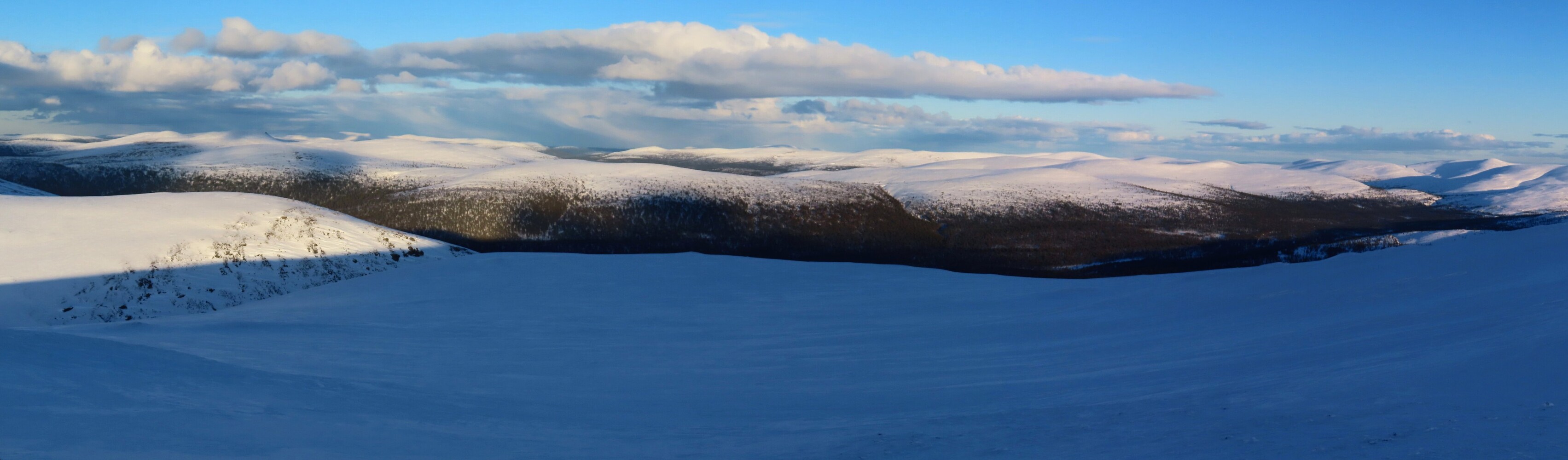 �������� ������