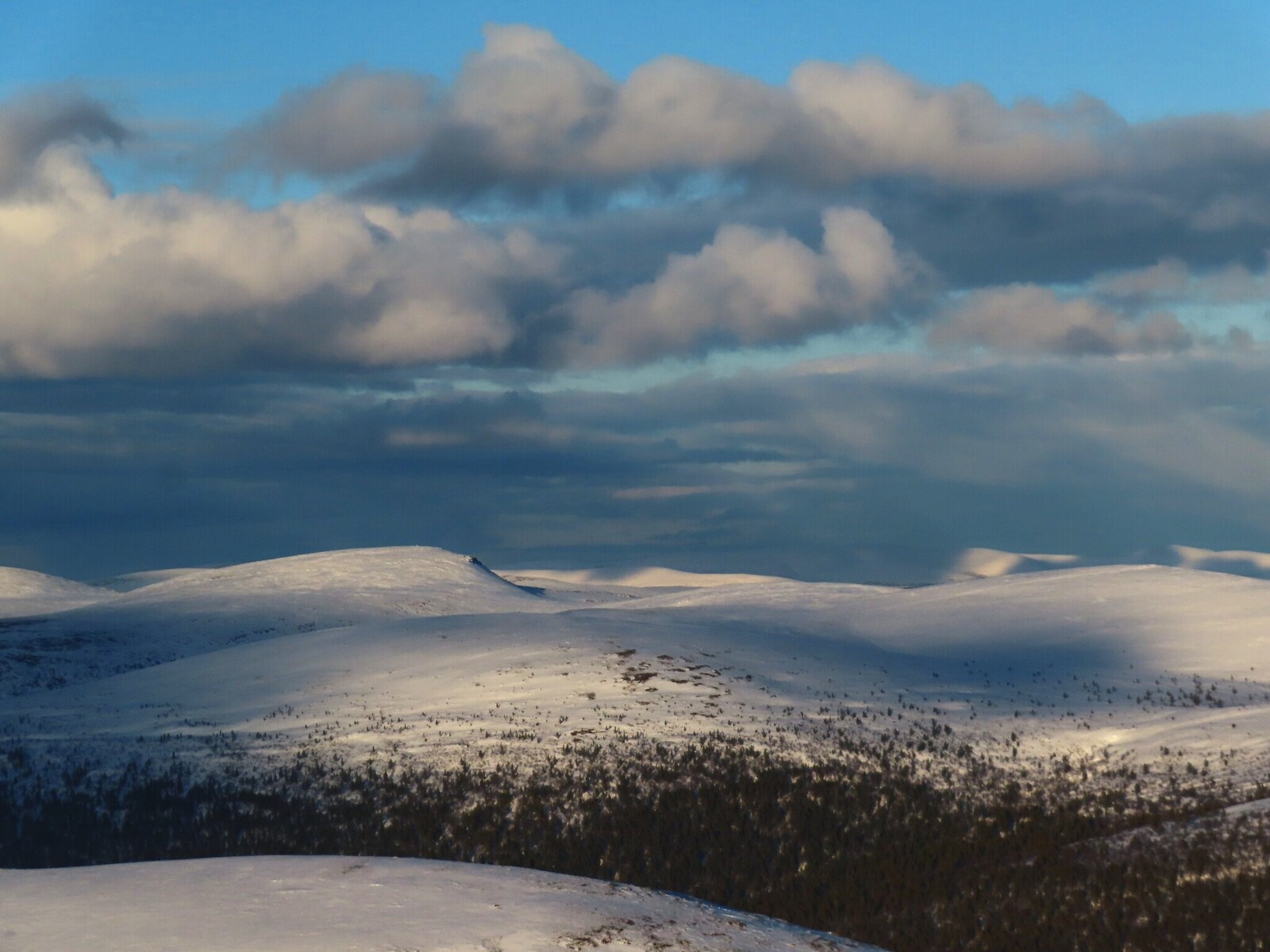 �������� ���� �� ���������