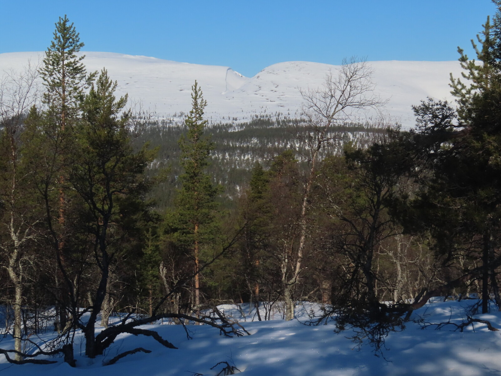 ���������� �� ��������� ���� ������