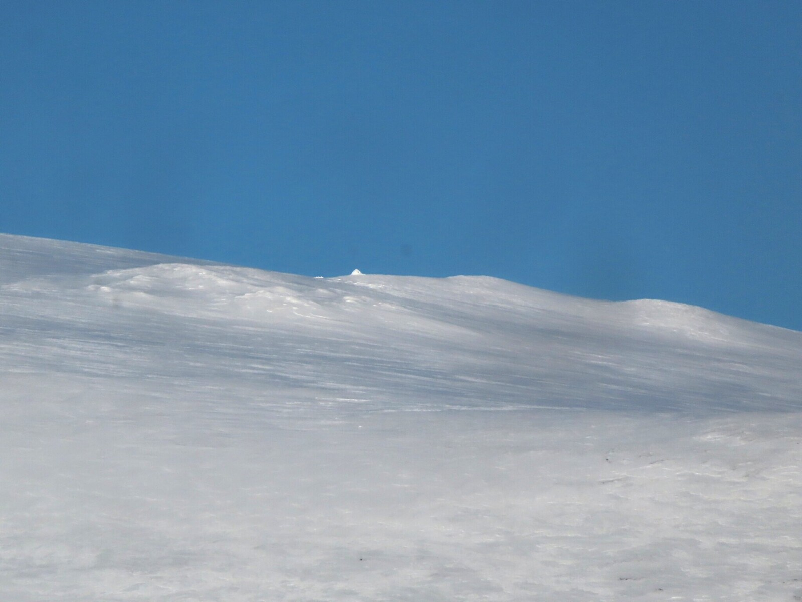 ��� �� ����