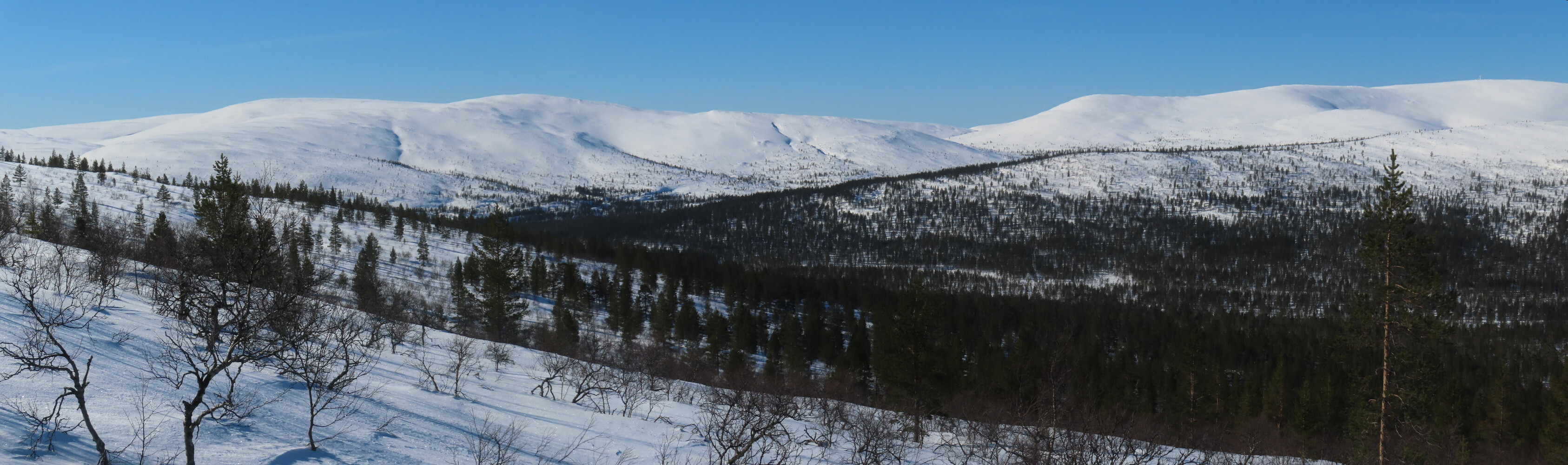 �������� ������, � ������ �� ����� �������