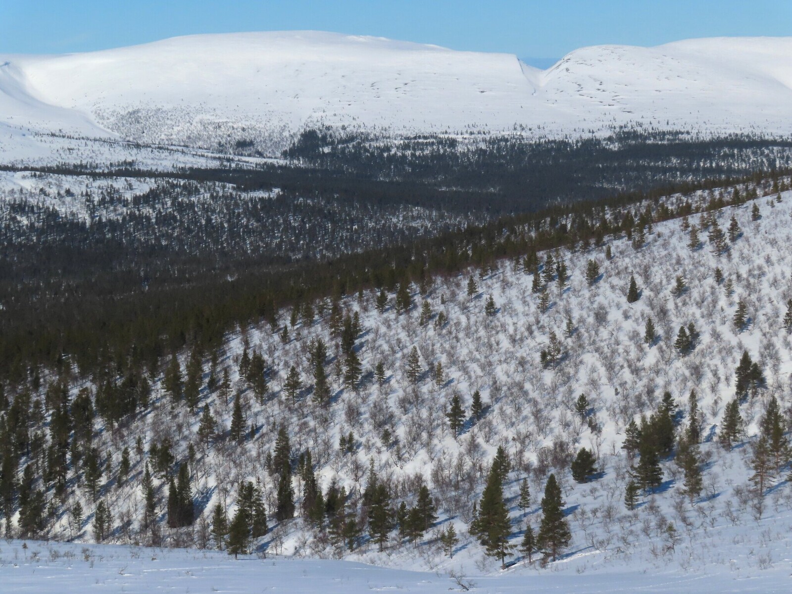 ��� ���� ��� �� ������ Pirunportti