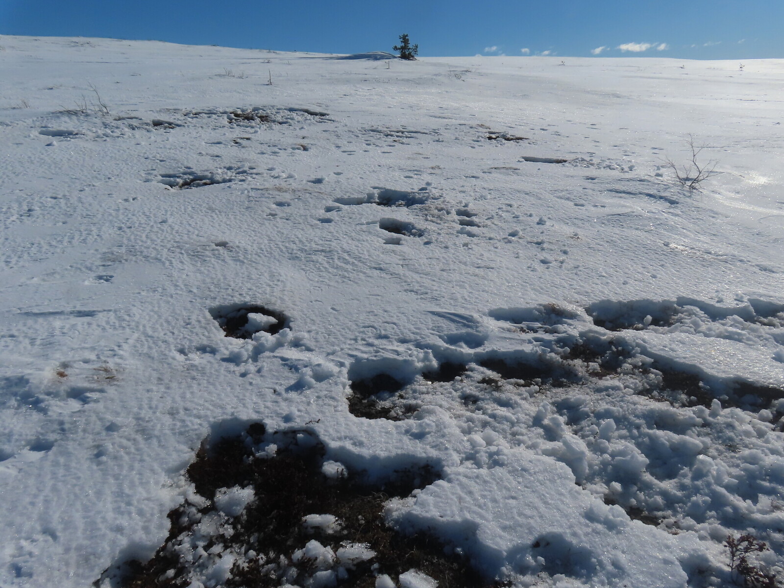 ��� ����� ������ ����