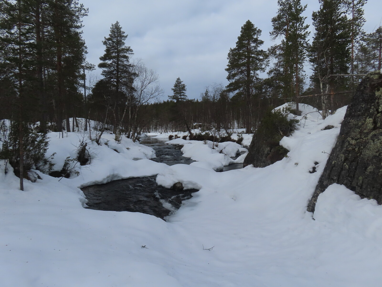 ������� ���� � ������ ������