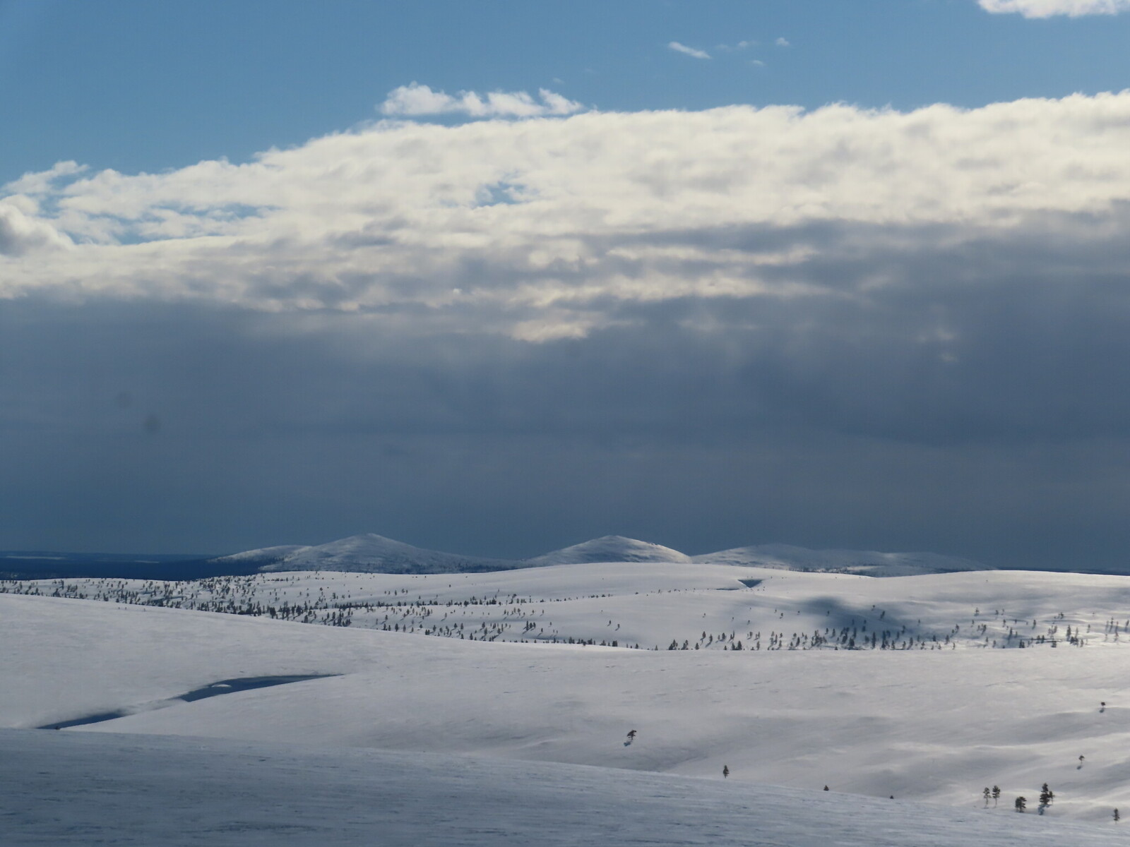 ������� �������� �����