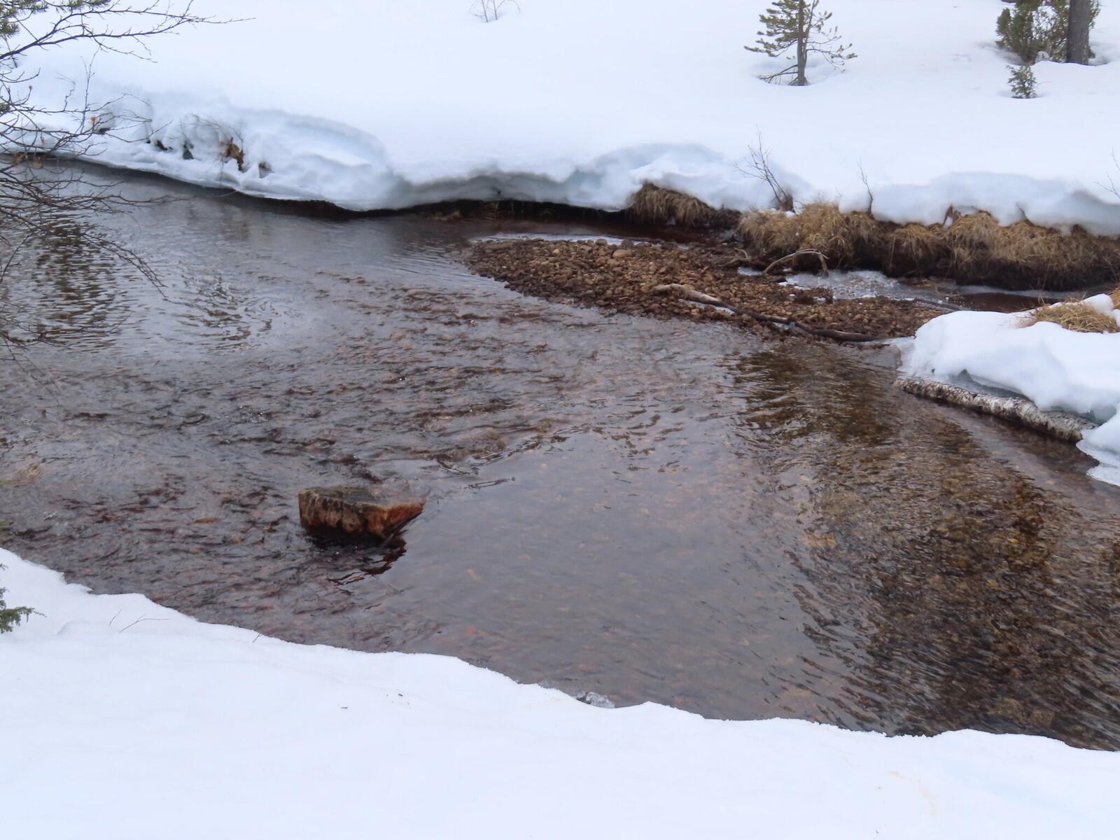 ����� �����