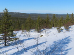 ������ �� ���� ����