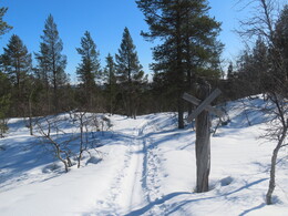 ����� �� ����� � ����