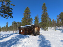 ���� Kivip&auml;&auml;