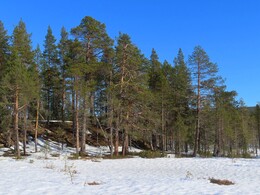 ���������� ������