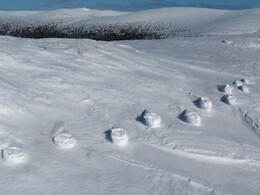 ������� ������ �����