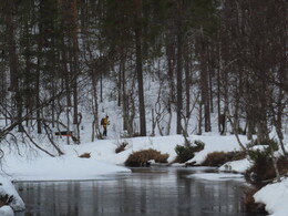 �������