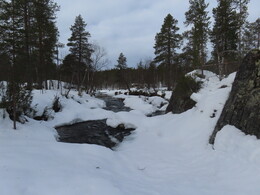 ������� ���� � ������ ������