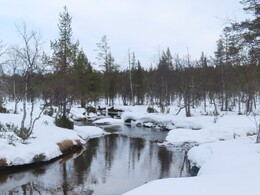 ���� Kulasjoki