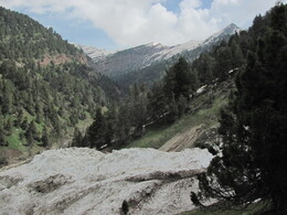 лавинный вынос у впадения ручья с перевала Сутун-Камар