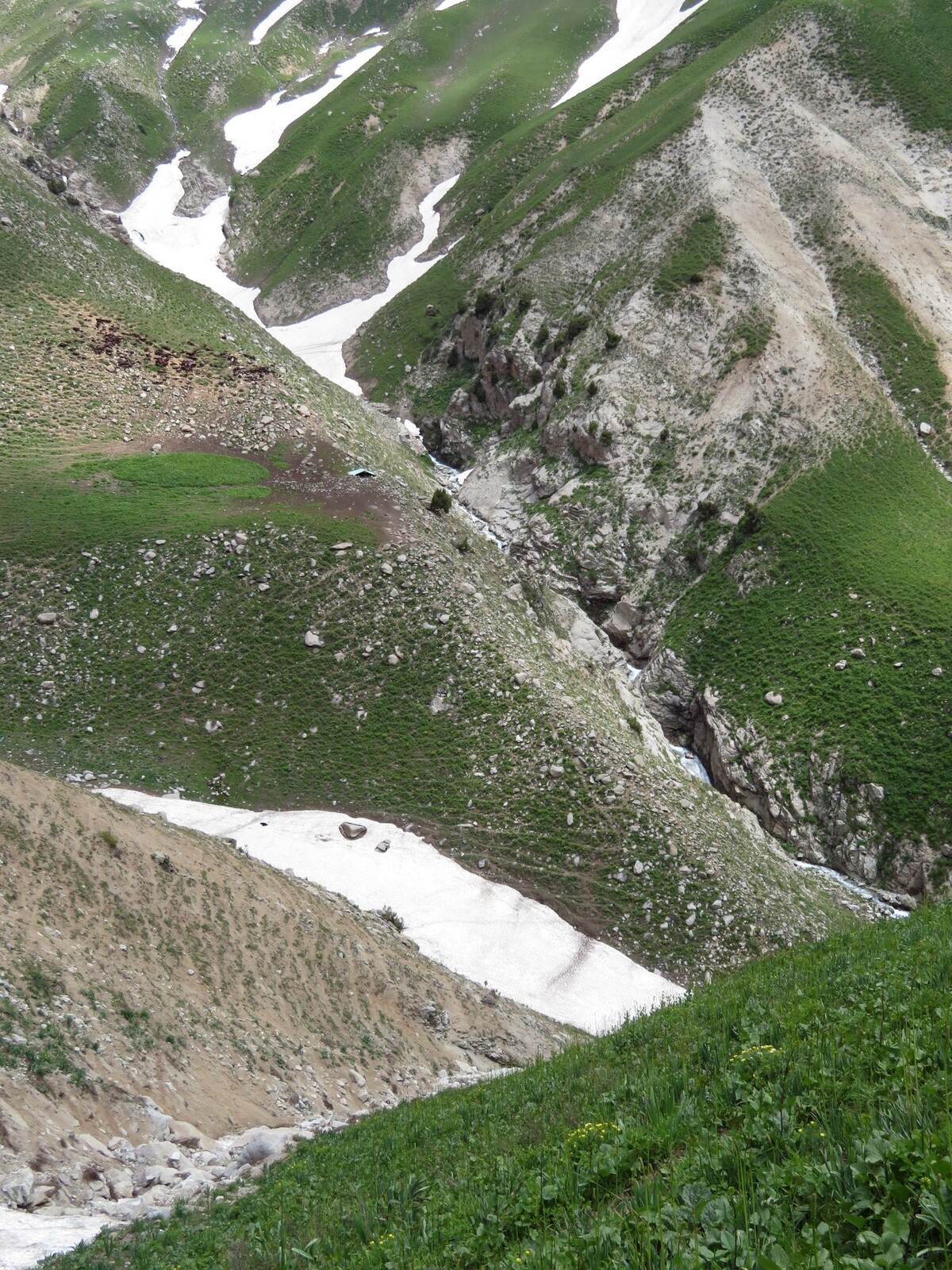 левый приток, ведущий к перевалу Согдиана, палатка, стадо