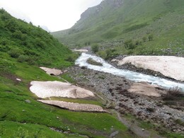 река и стадо на другом берегу