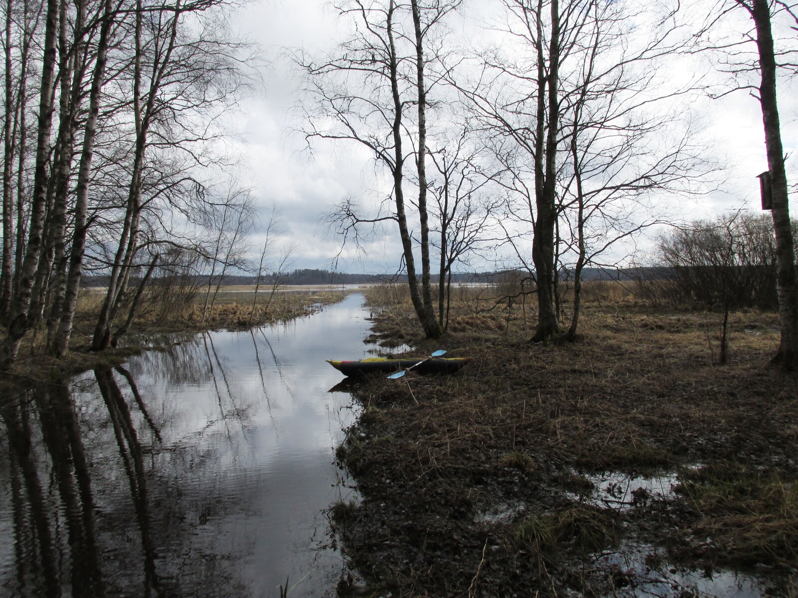    Ridasjärvi
