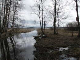 выход в озеро Ridasjärvi