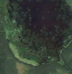 озеро Ridasjärvi на космоснимке google
