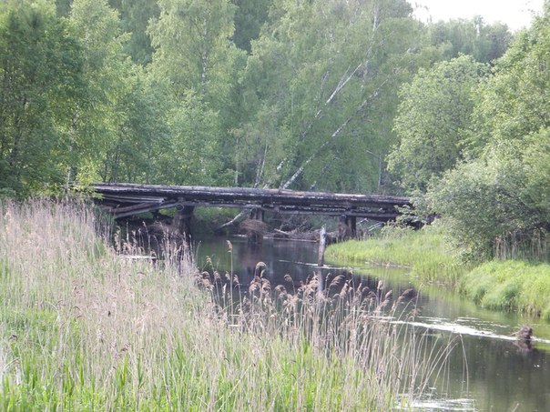 деревянный автодорожный мост