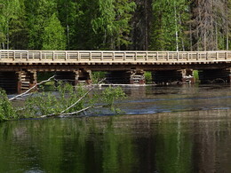 новый мост лесовозной дороги в 10 км ниже Падуна