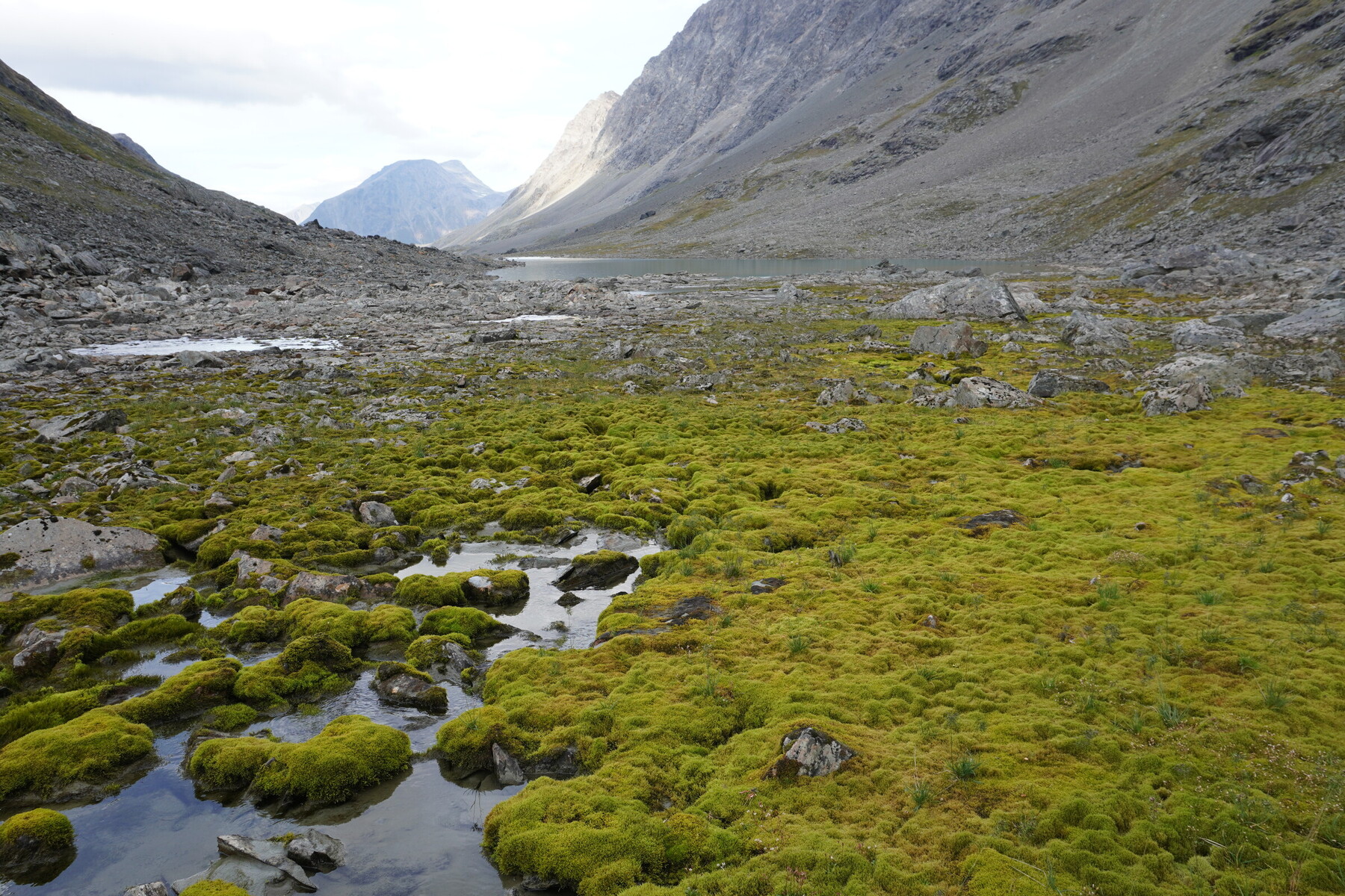    Førstevatnet