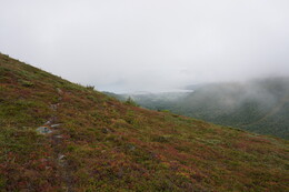 Вид с верхней тропы левого (ор.) борта долины Kvalvikdalen на фьорд