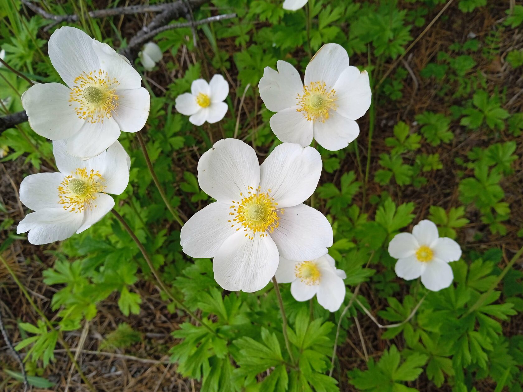 ���������