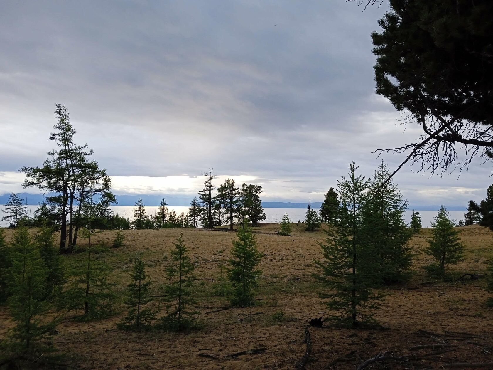 ����� ��������