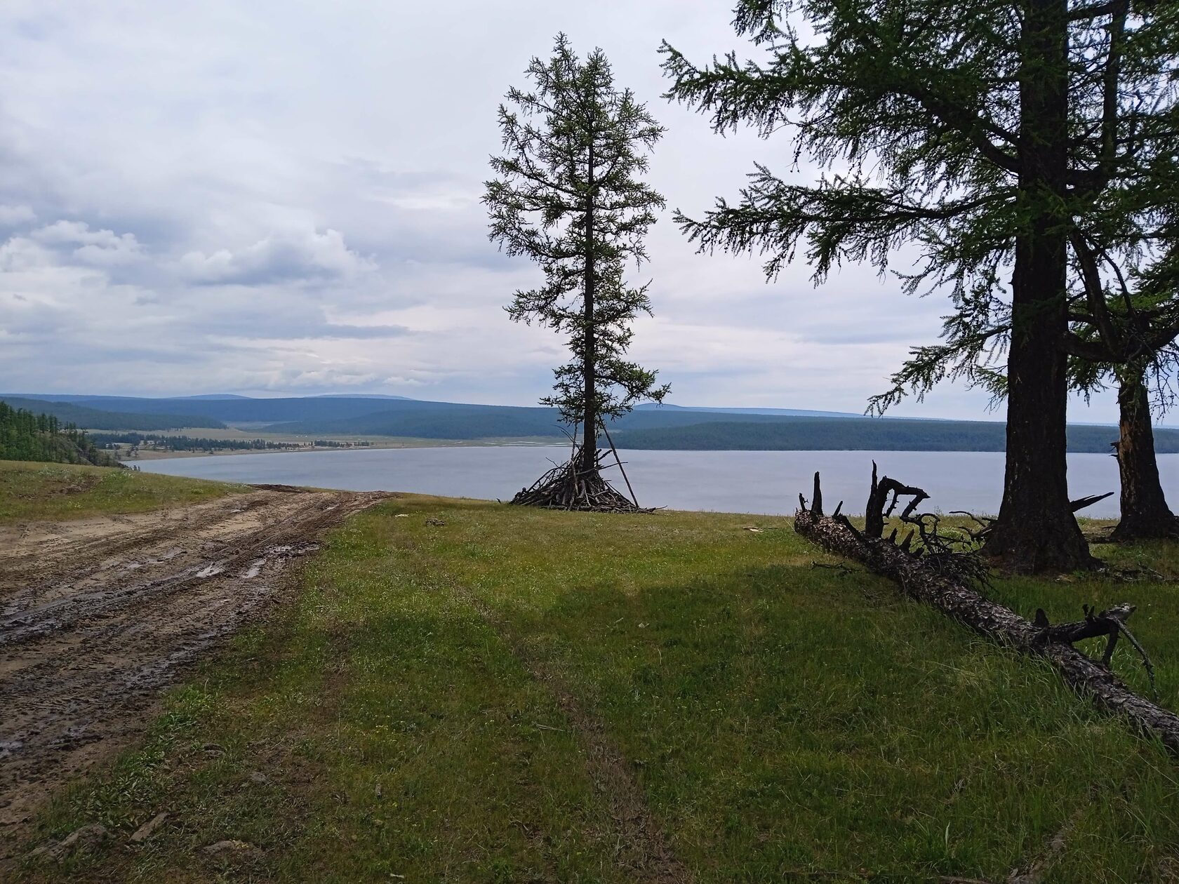 ���������