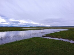 ����-���