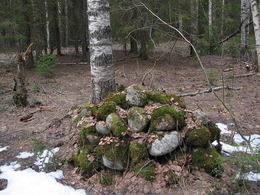 в лесу часто встречаются кучи камней