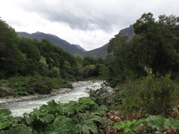 низовья реки Estero Piedras, вдали виден перевал за рекой Queulat, на который уходит шоссе