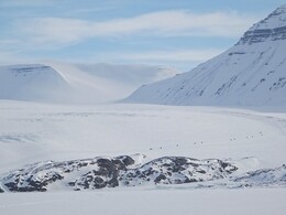 снегоходы спускаются с ледника Норденшельда