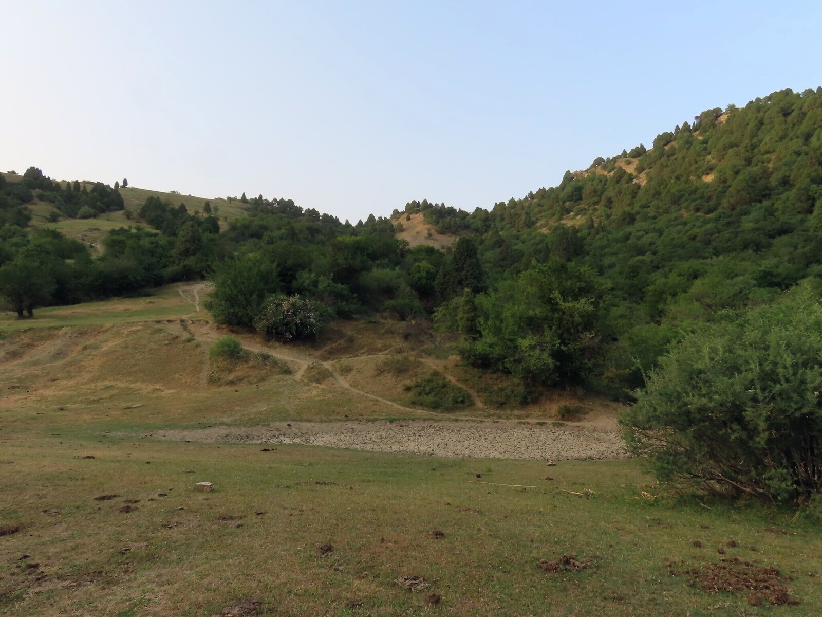     meadow near the camping place